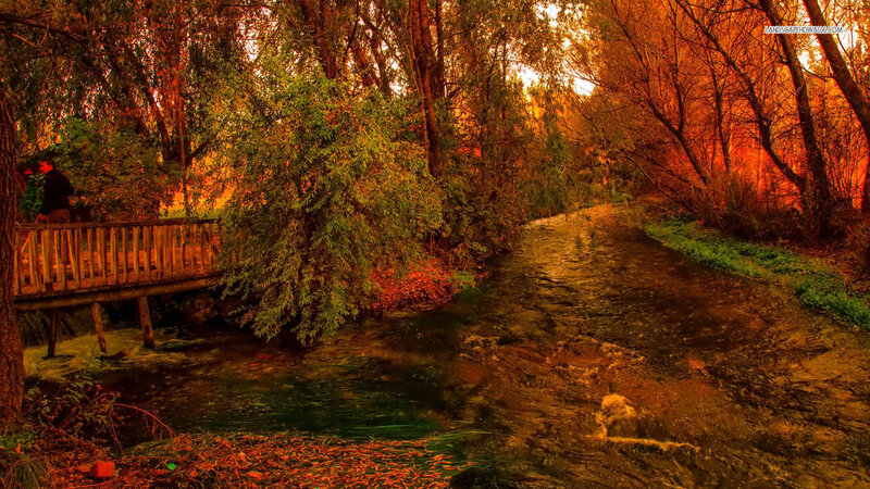 Person on Wooden Bridge — Orange