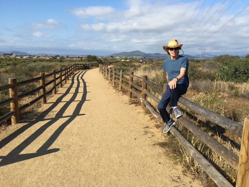 Person on Wooden Fence