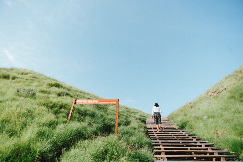 Person on Wooden Stairs — Green