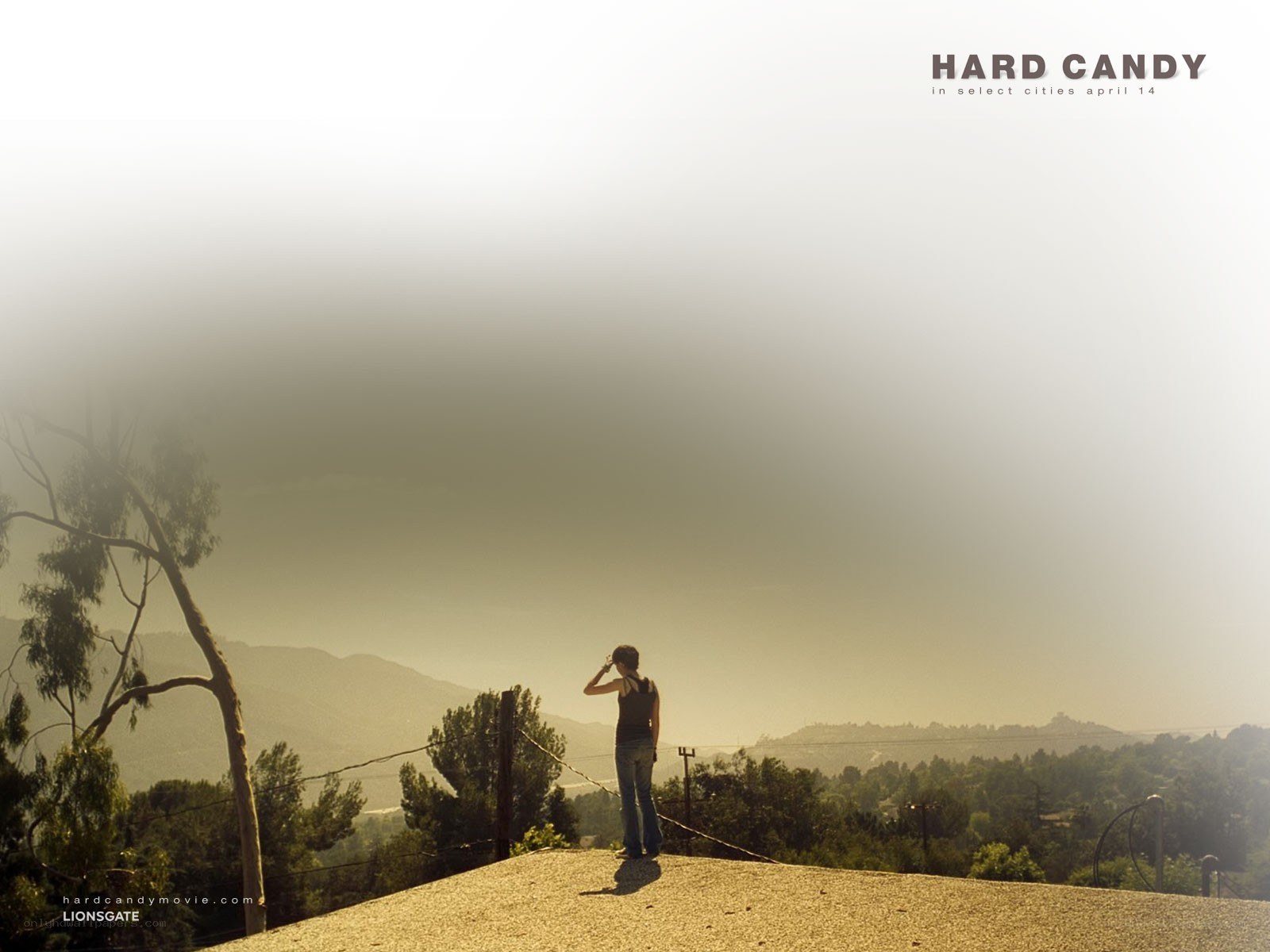 person overlooking a hazy landscape