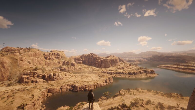 Person Overlooking Canyon — Brown
