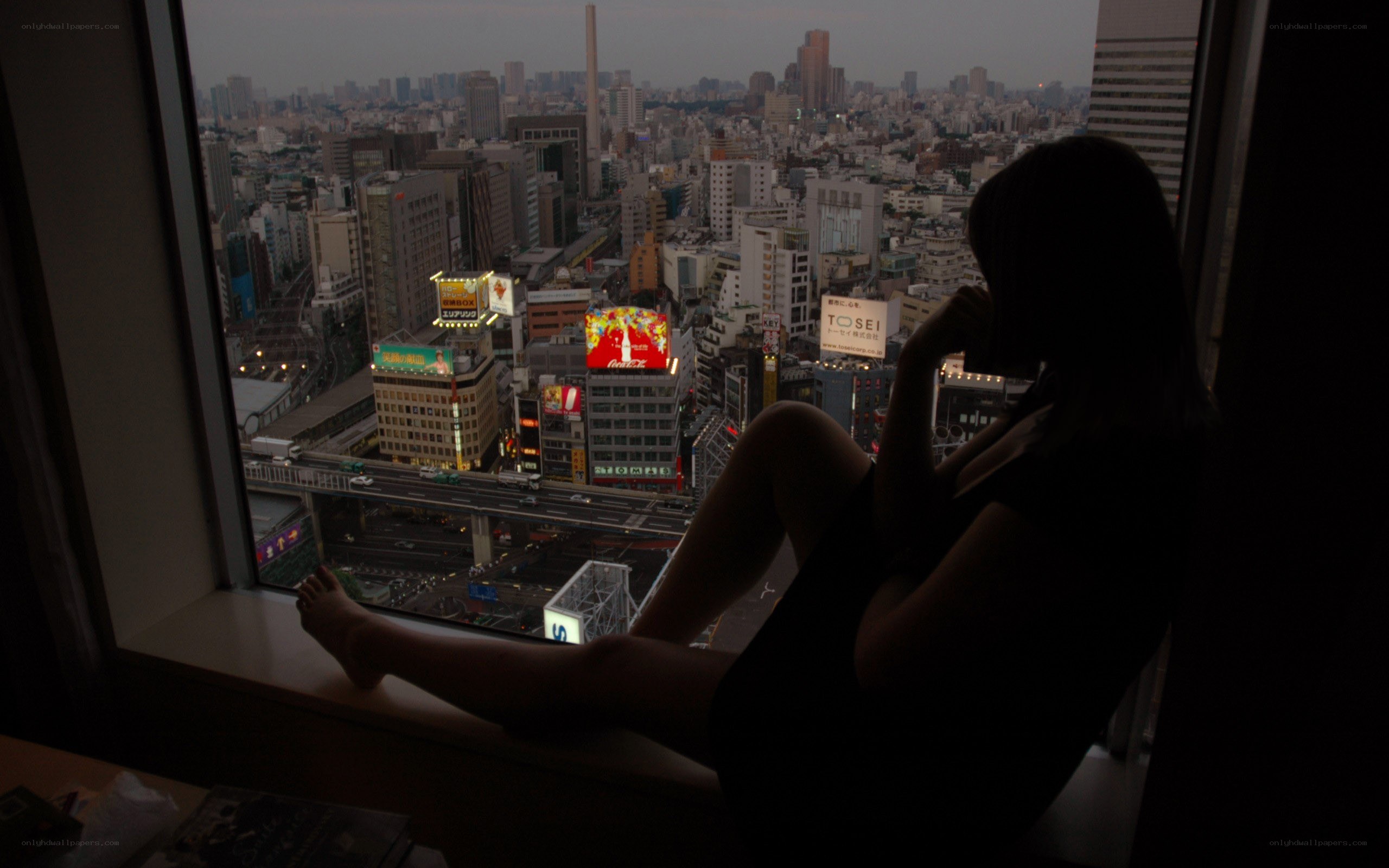 person overlooking city at dusk