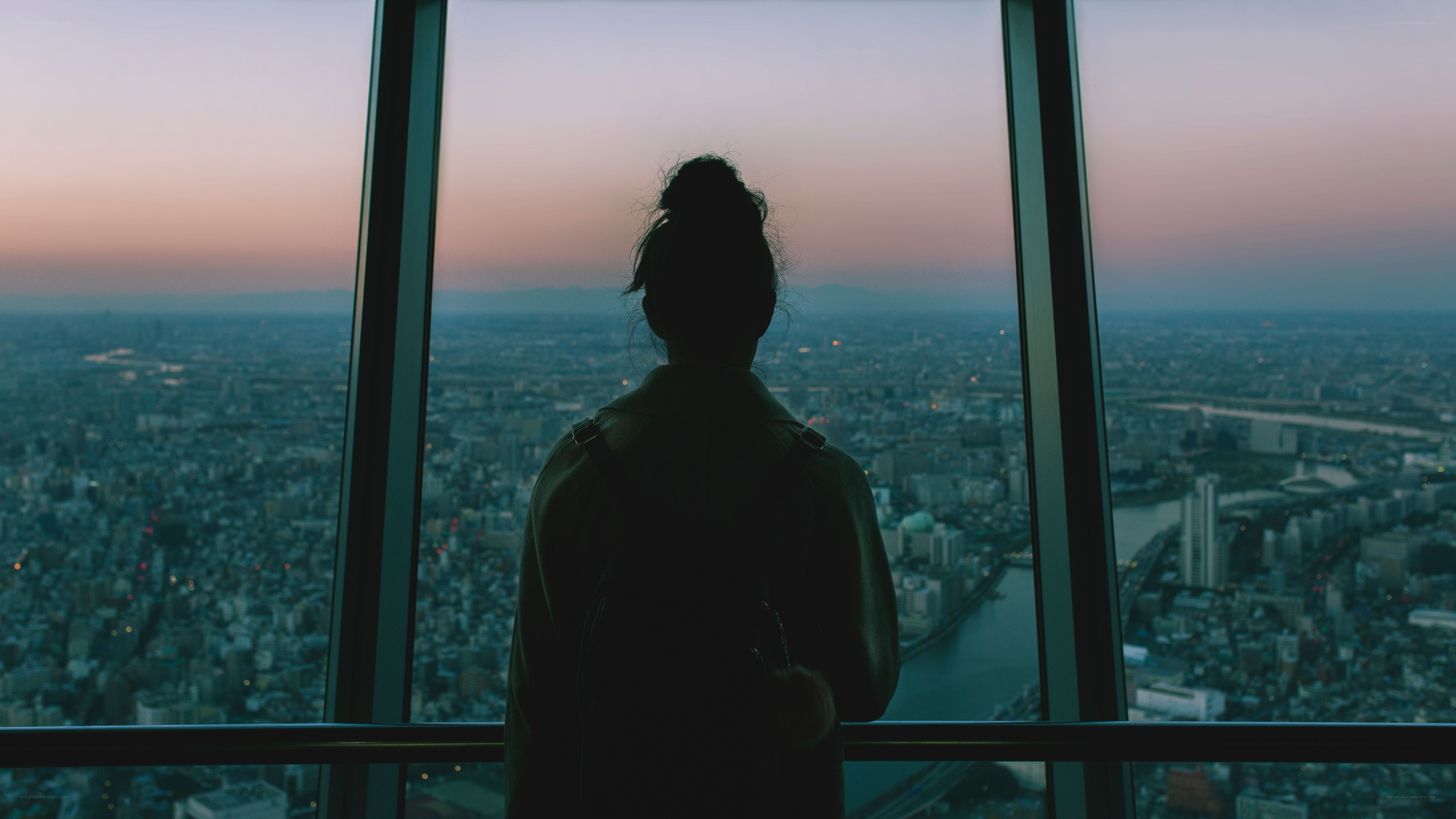 person overlooking city at dusk