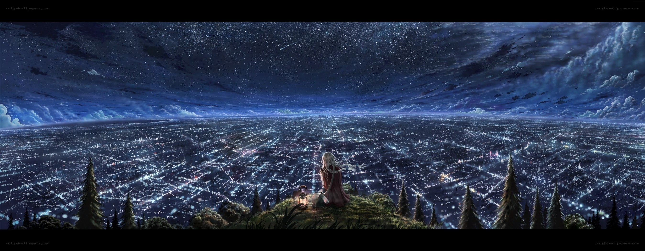 person overlooking city at night