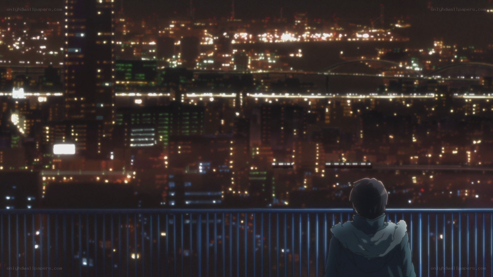 person overlooking city at night