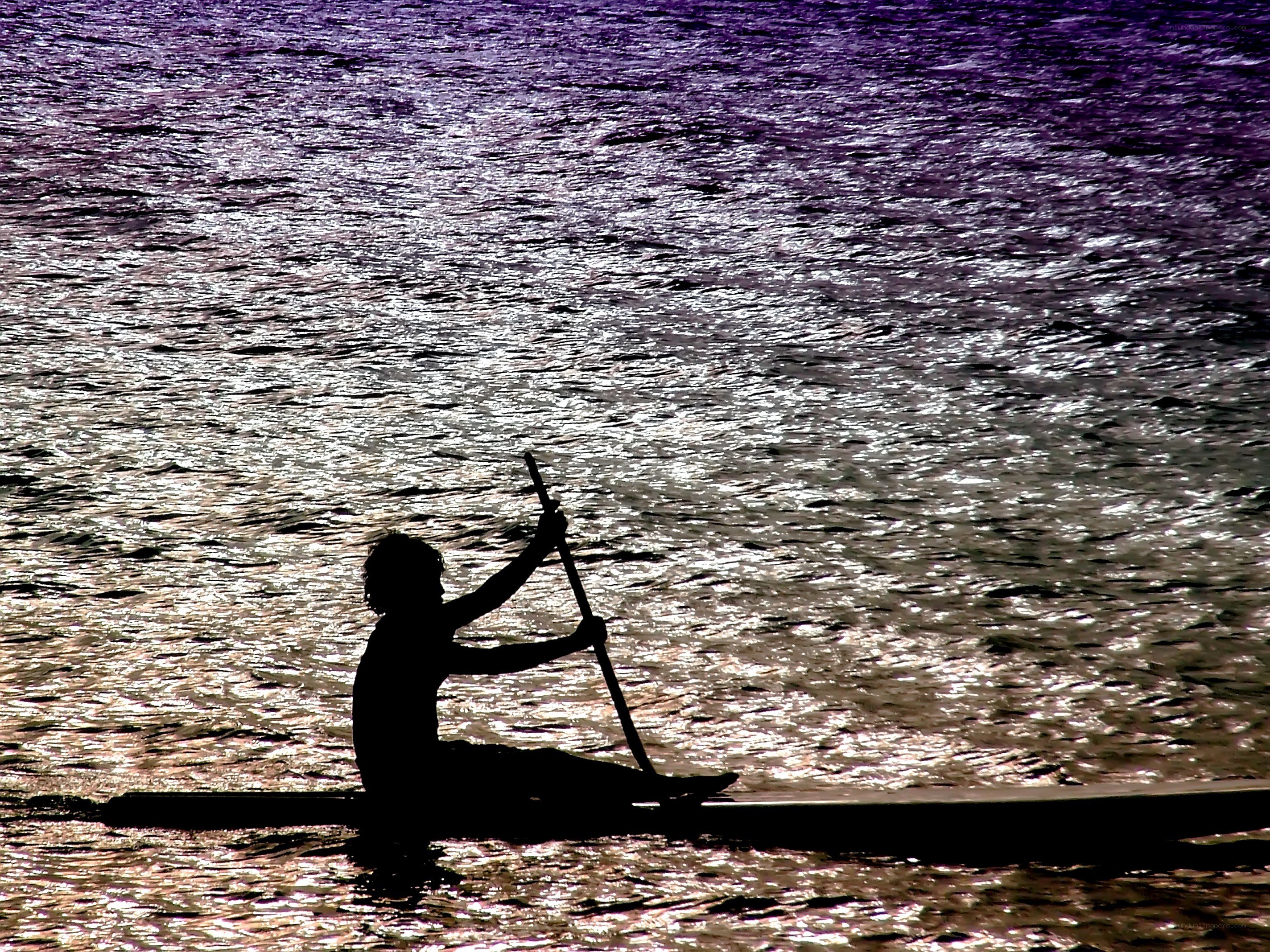 person paddling a canoe