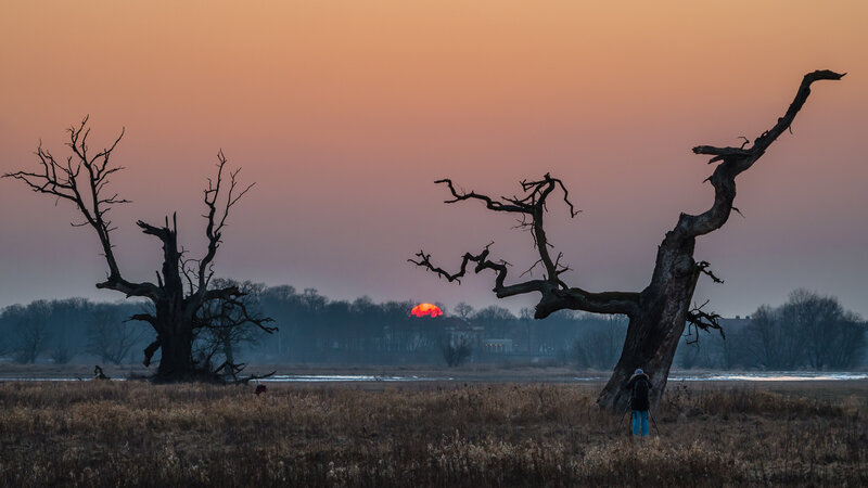 Person Photographing Sunset — Orange, Dramatic