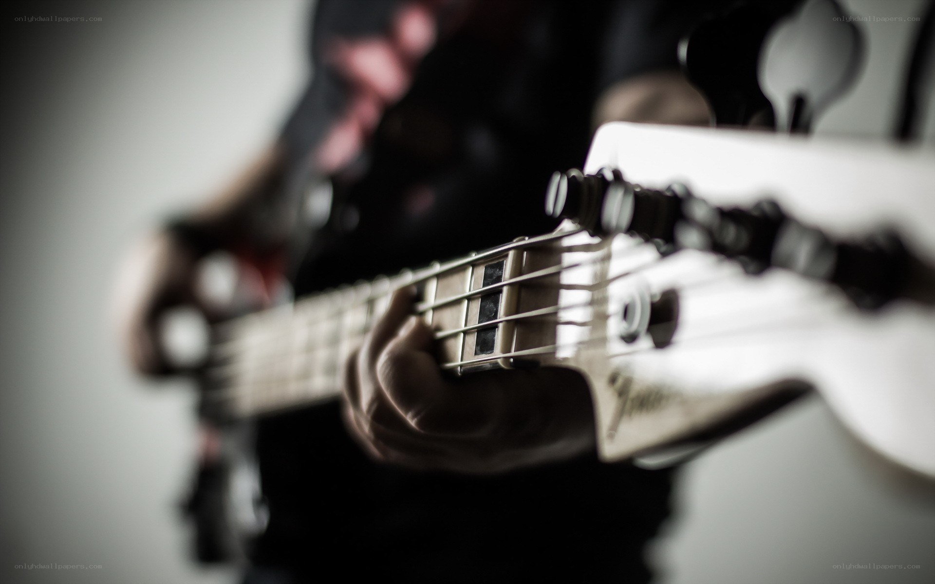 person playing bass guitar
