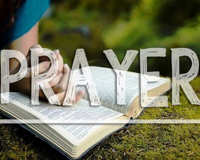 Person Praying on Book — Green