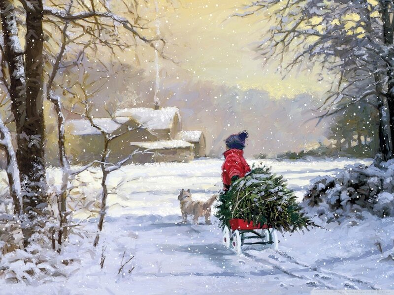 Person Pulling Christmas Tree