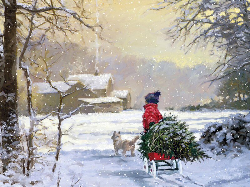 Person Pulling Christmas Tree — White