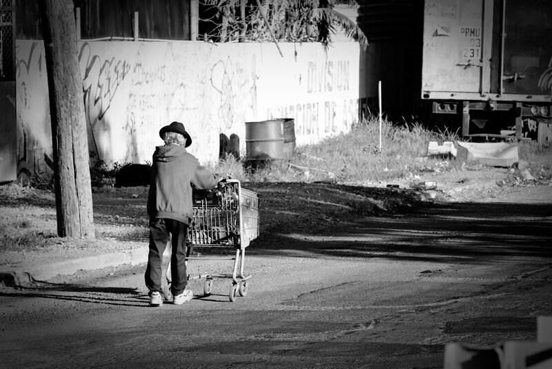 Person Pushing Shopping Cart
