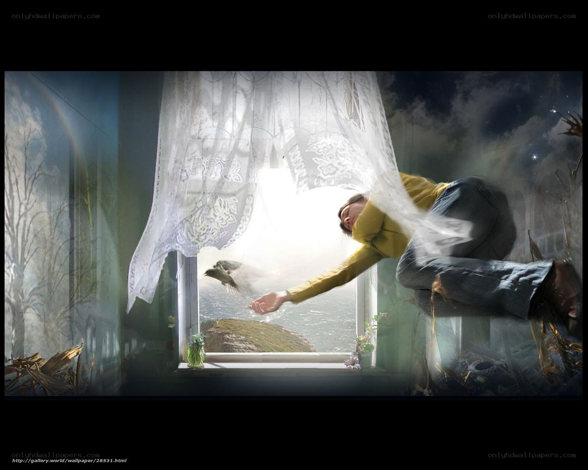 person reaching for bird at window