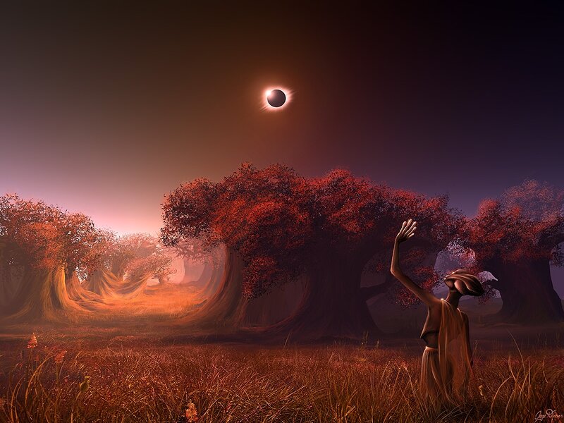 Person Reaching for Eclipse