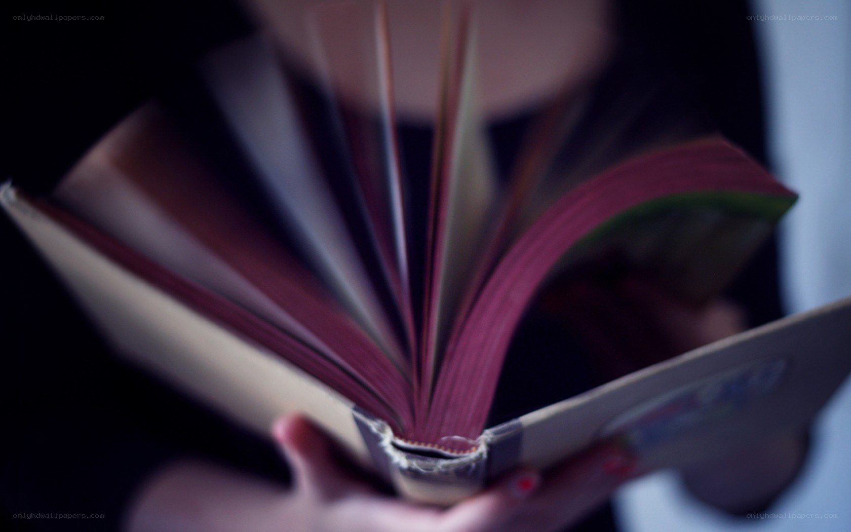 person reading a book