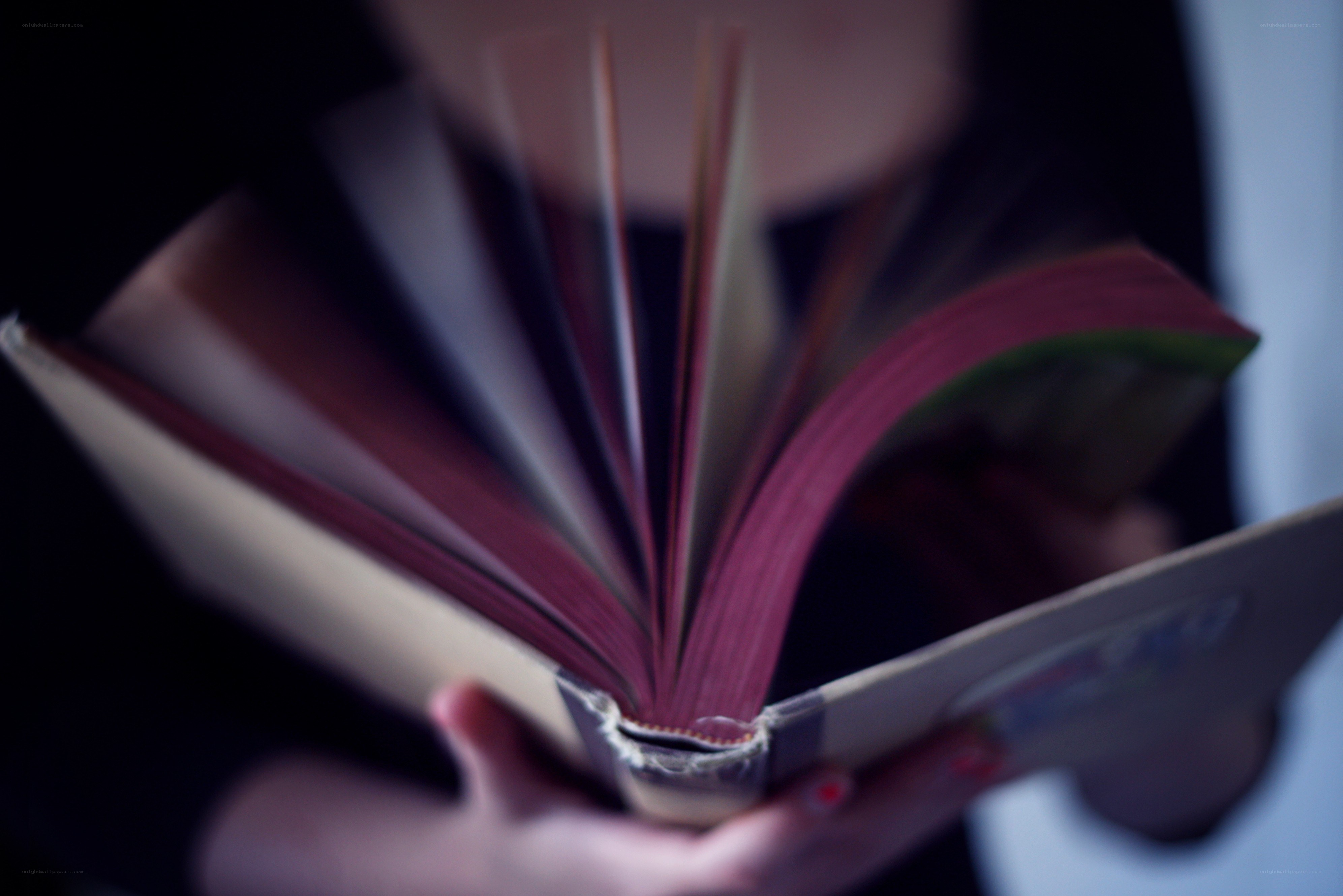 person reading a book