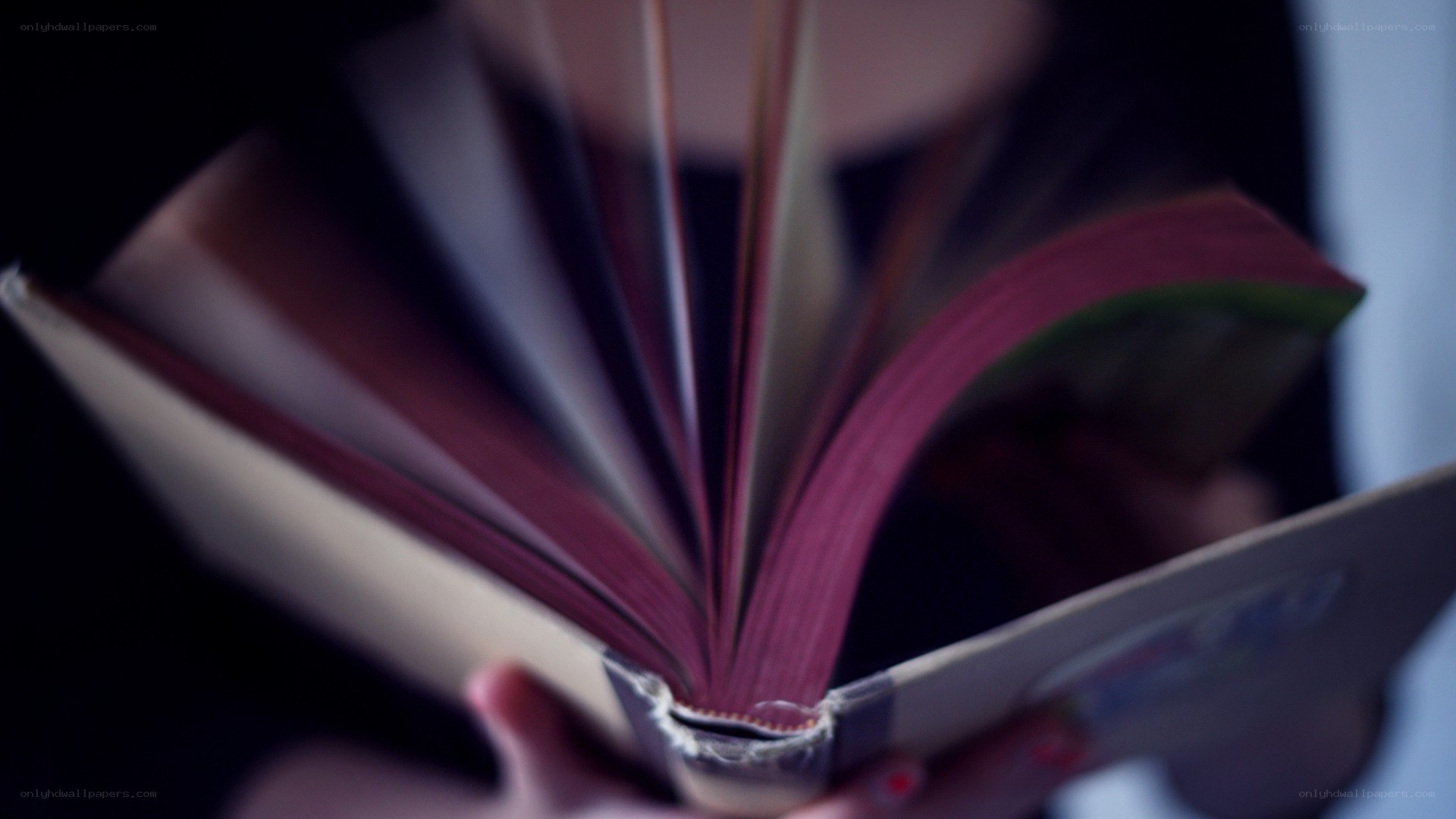person reading a book