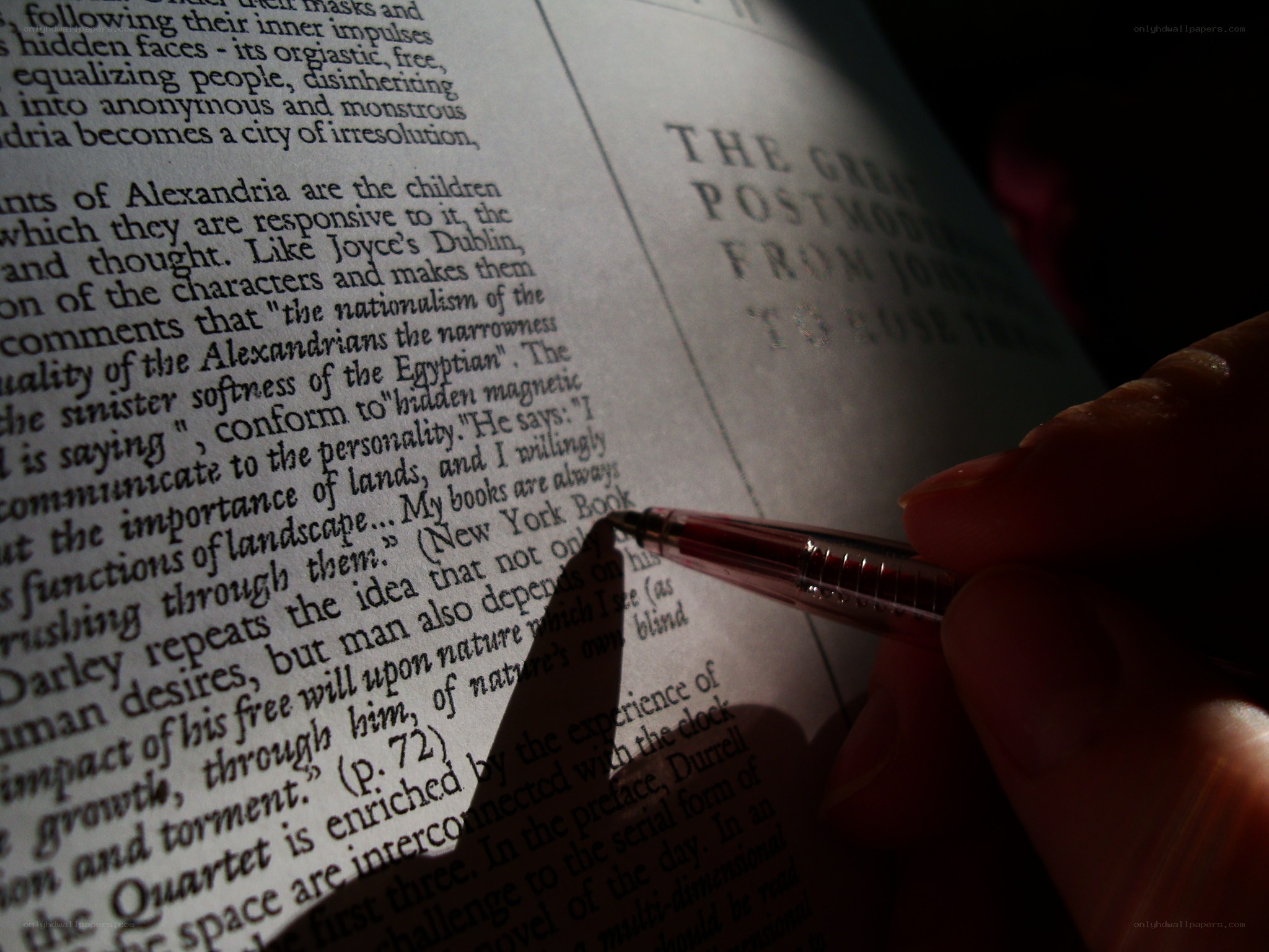 person reading a book