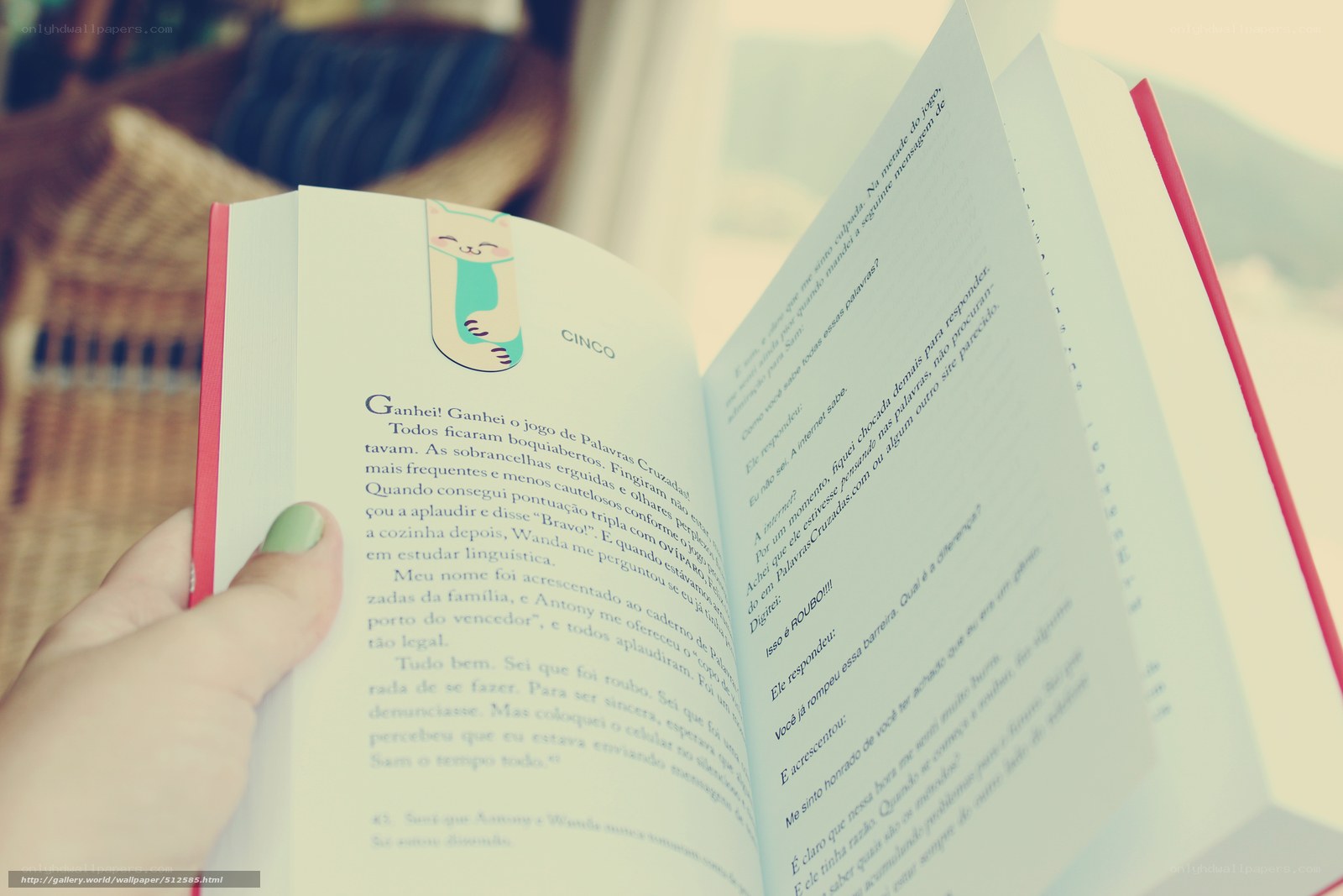 person reading a book