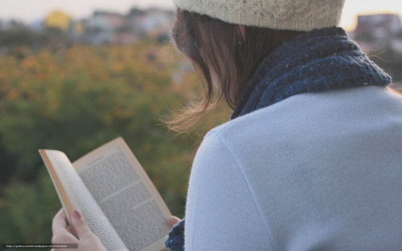Person Reading Book — Blue, Serene, Autumn