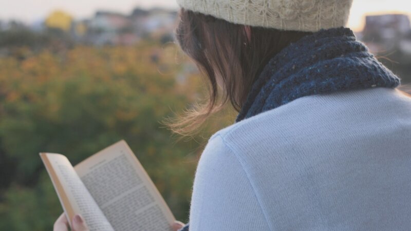 Person Reading Book — Blue, Serene, Sunset