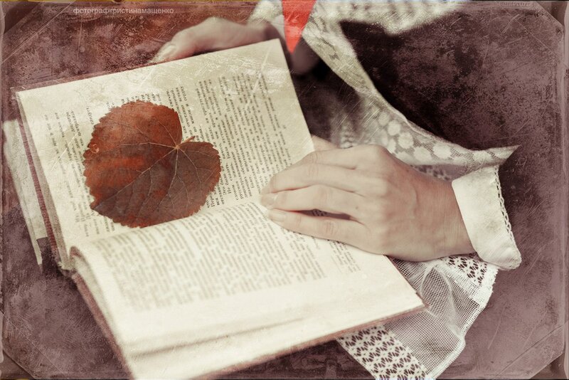 Person Reading Book — Brown, Calm, Autumn