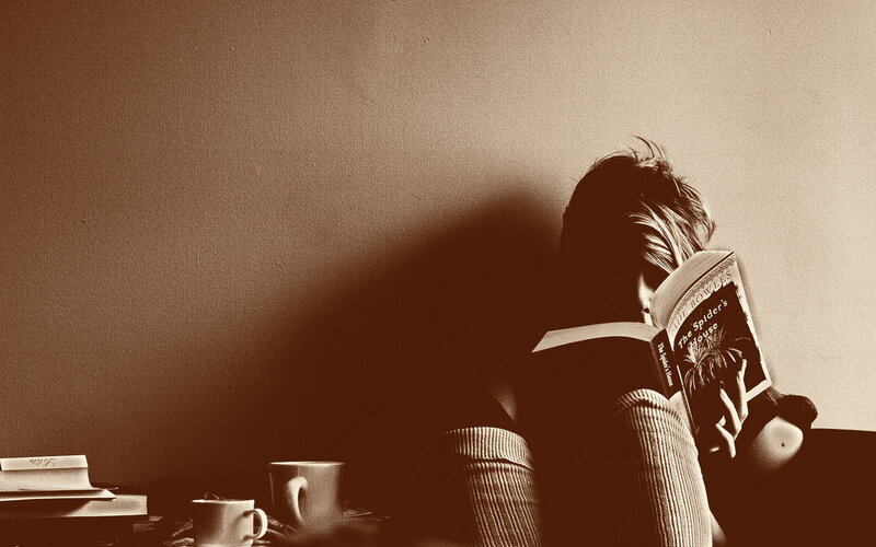 Person Reading Book — Brown, Calm