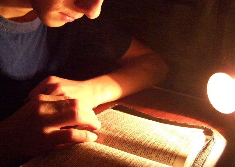 Person Reading Book — Brown