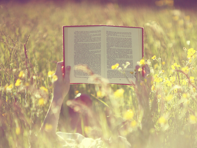 Person Reading Book in Field