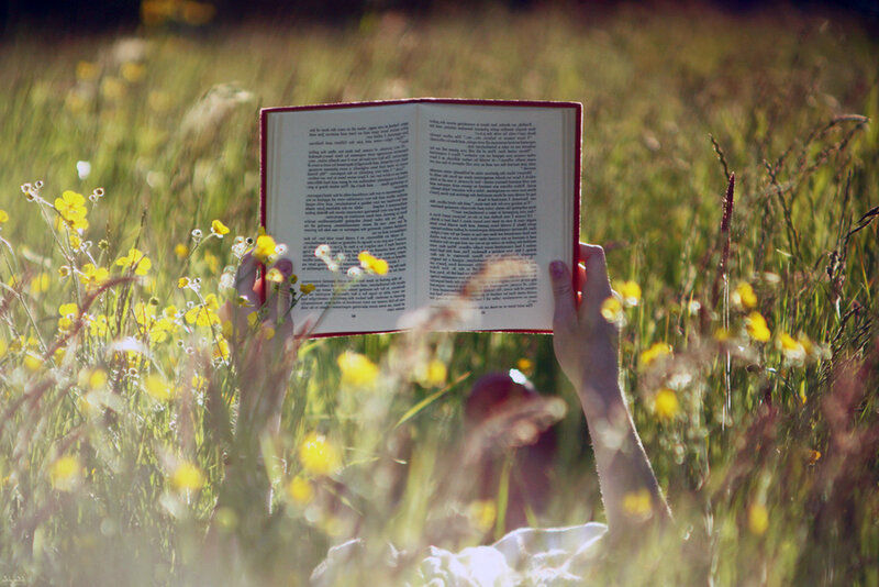 Person Reading Book in Field — Yellow