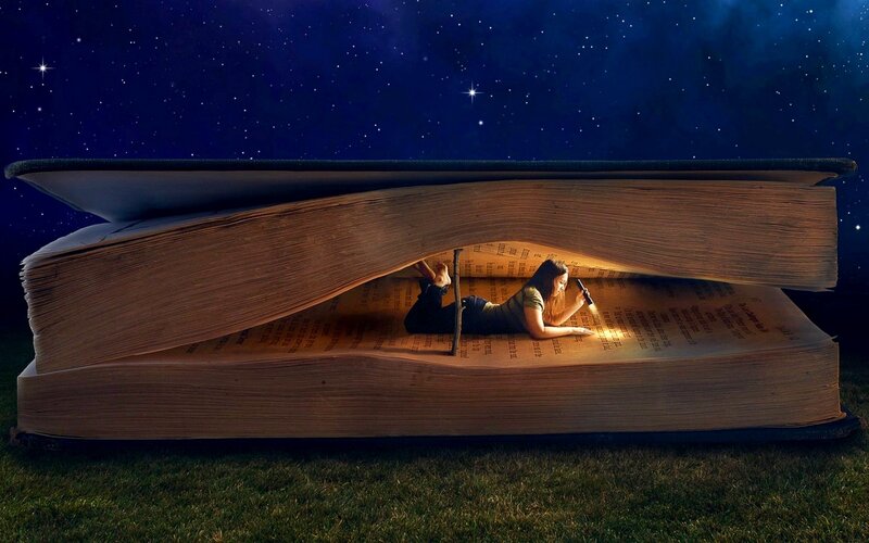 Person Reading in Book