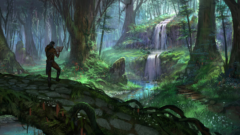 Person Reading in Forest