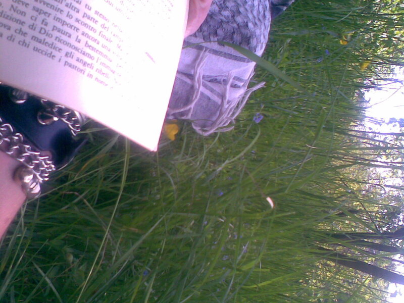 person reading in grass