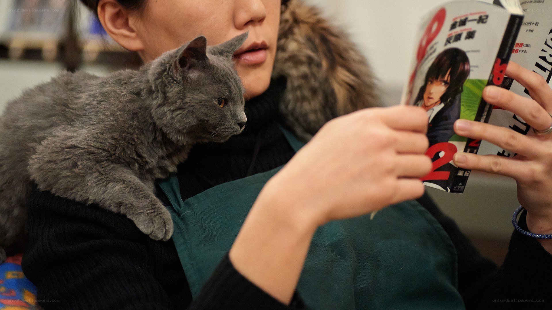 Person reading manga with cat