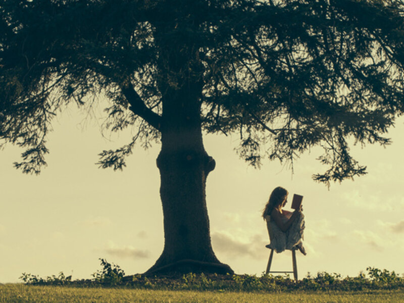 Person Reading under Tree