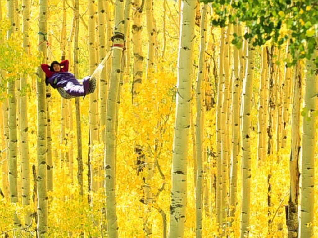 Person relaxing in a hammock
