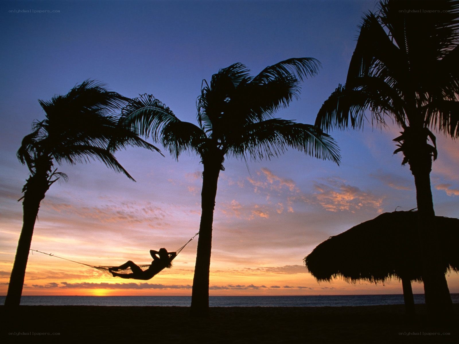 Person relaxing in hammock at sunset