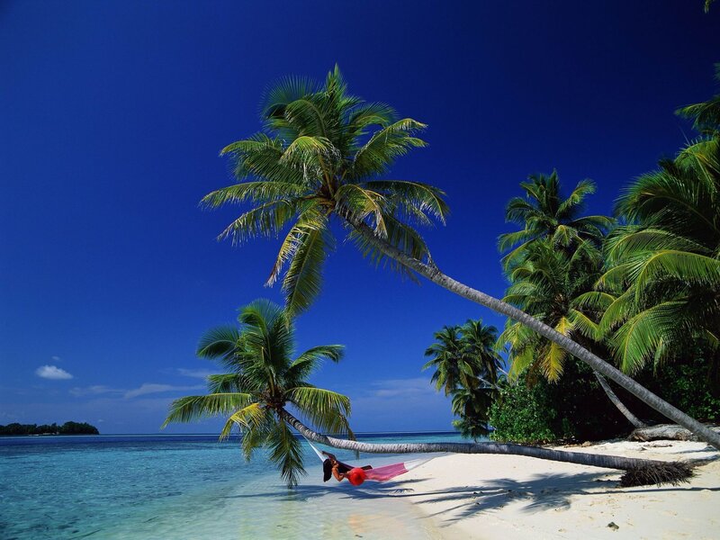 Person relaxing in hammock on tropical beach