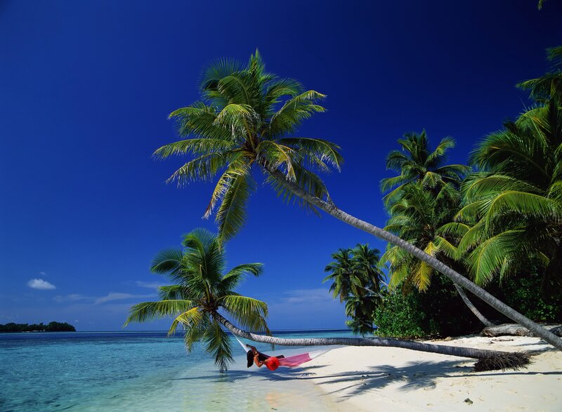 Person relaxing in hammock on tropical beach
