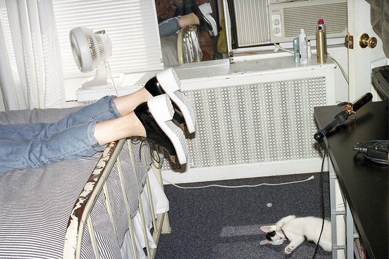 Person relaxing with cat in room
