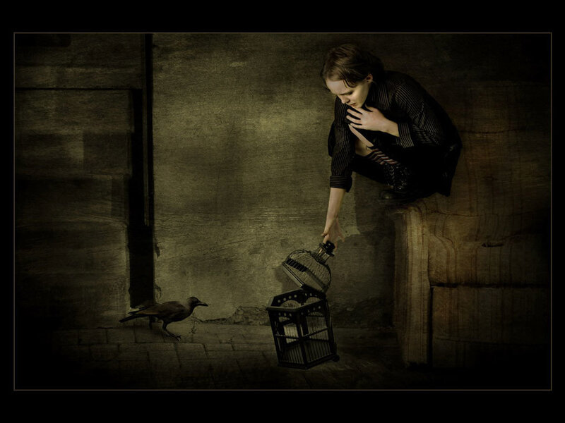 person releasing bird from cage