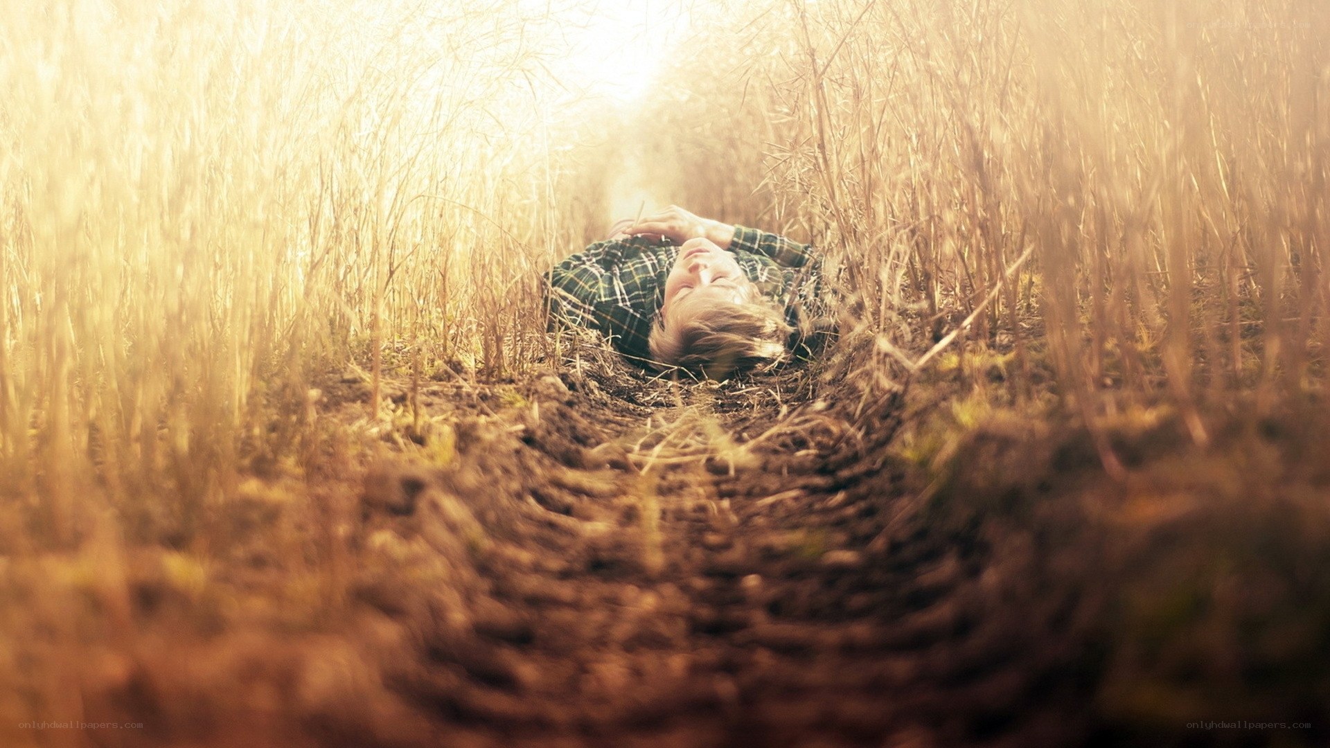 person resting in a field