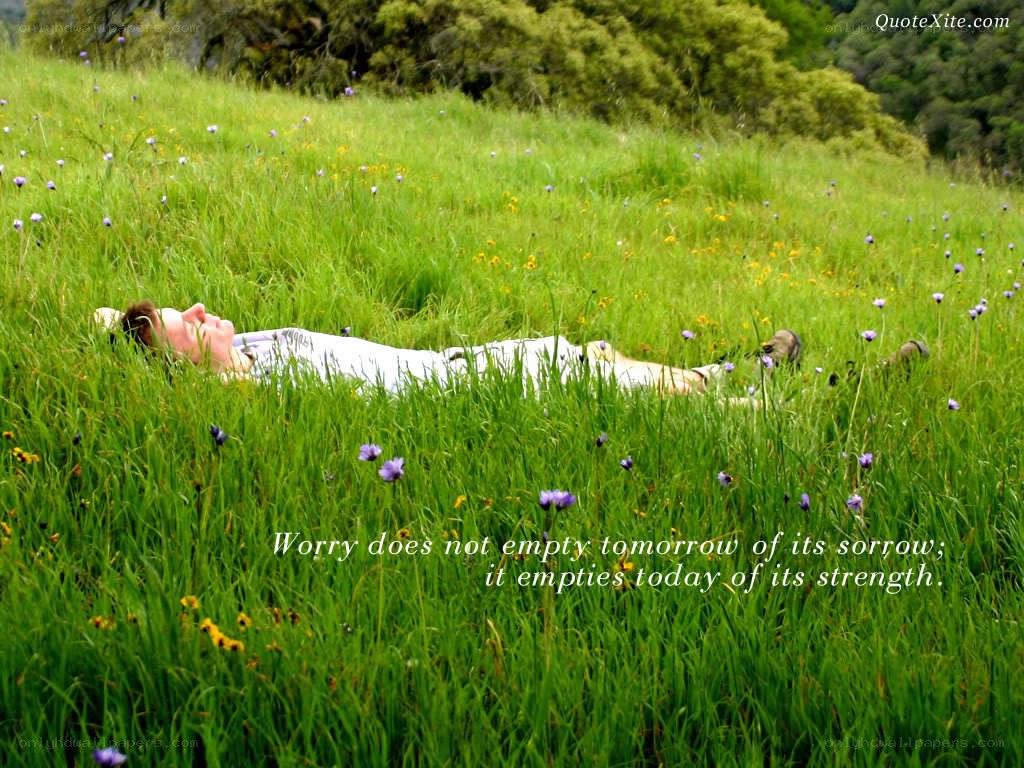 Person resting in a meadow