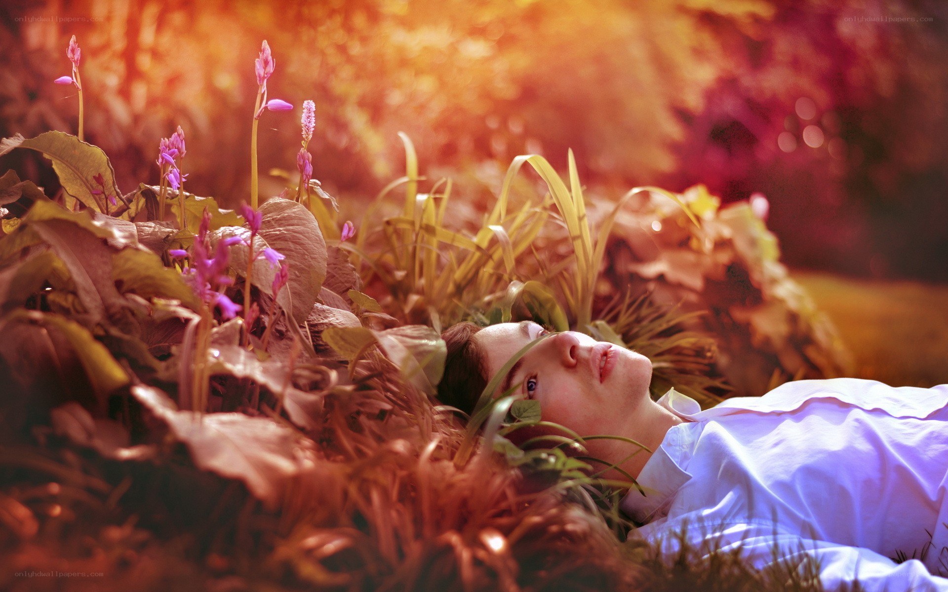 Person resting in autumn foliage