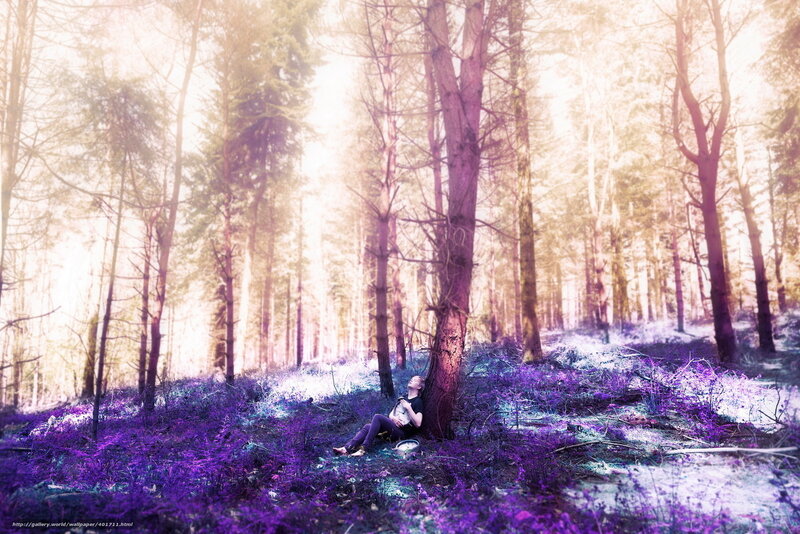 Person resting in purple forest