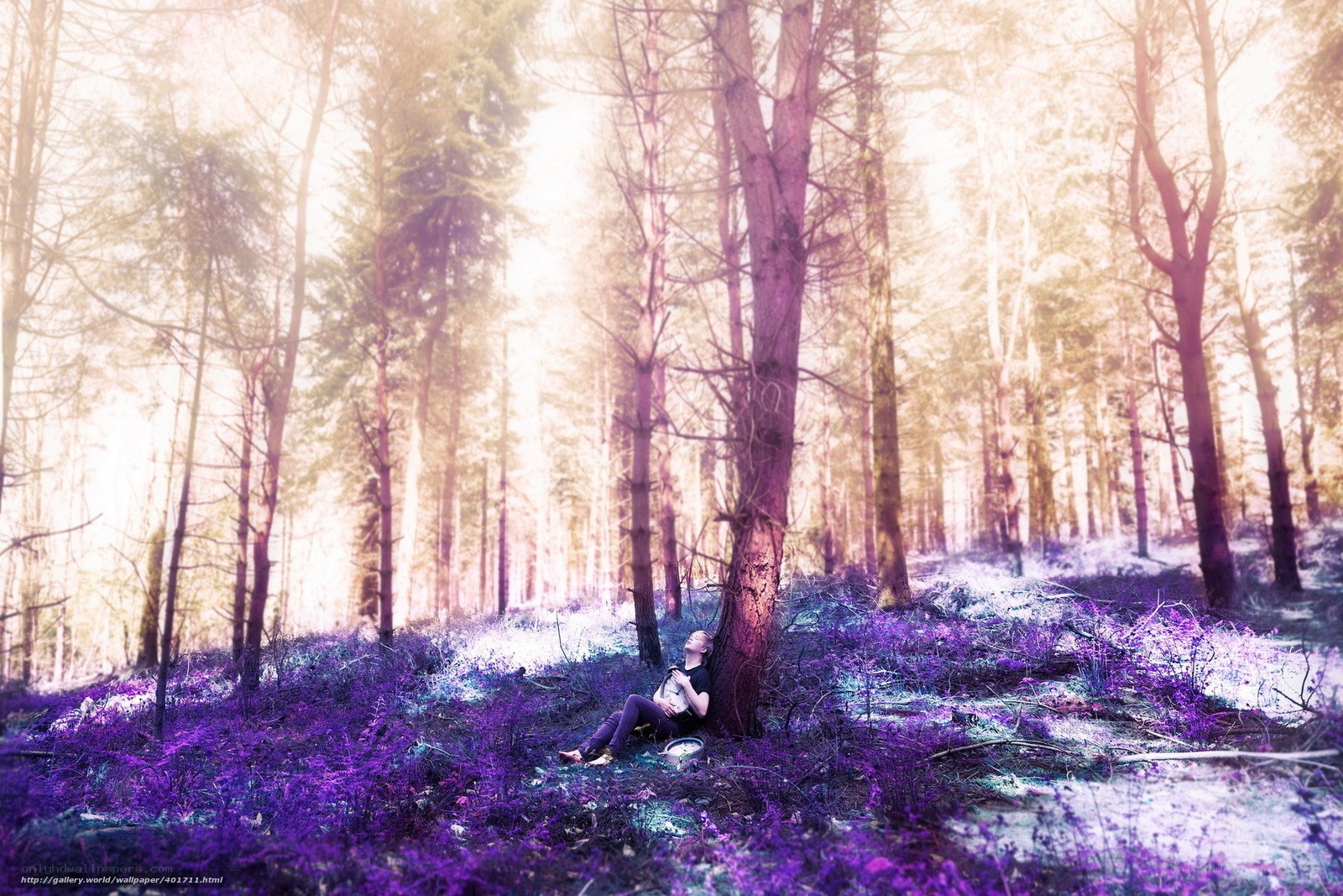 Person resting in purple forest