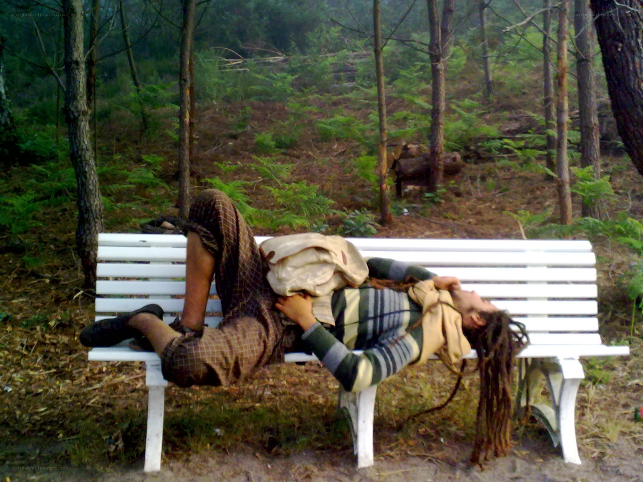 Person resting on a bench