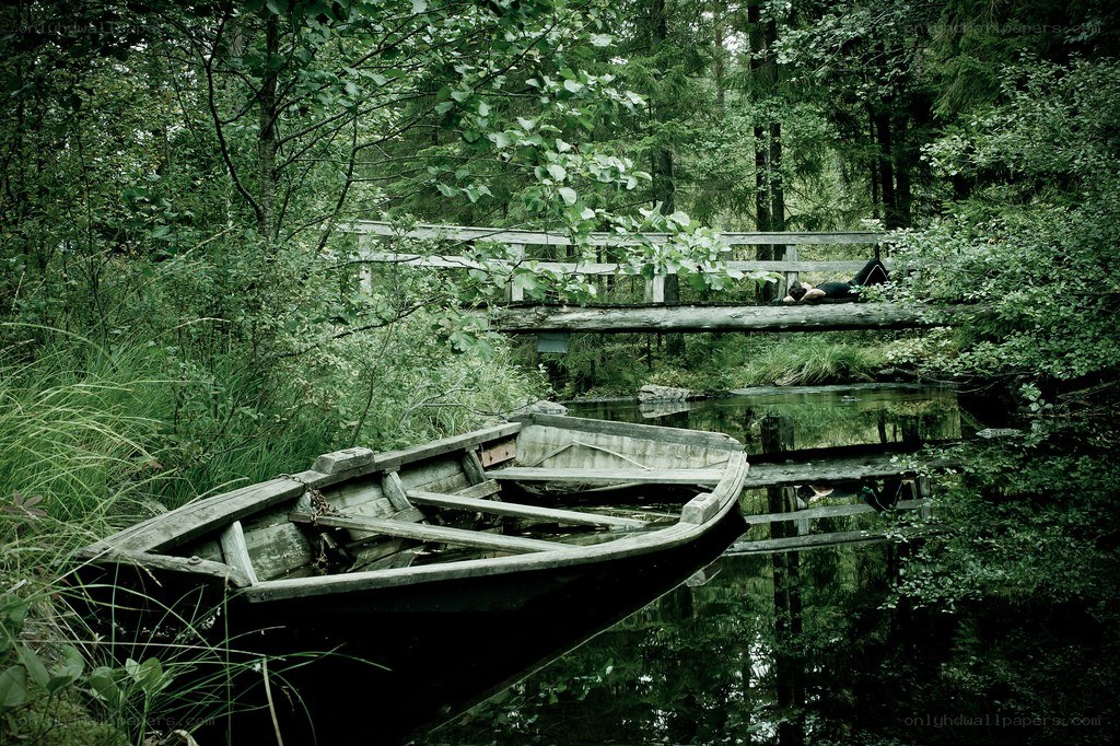 Person resting on a bridge in forest