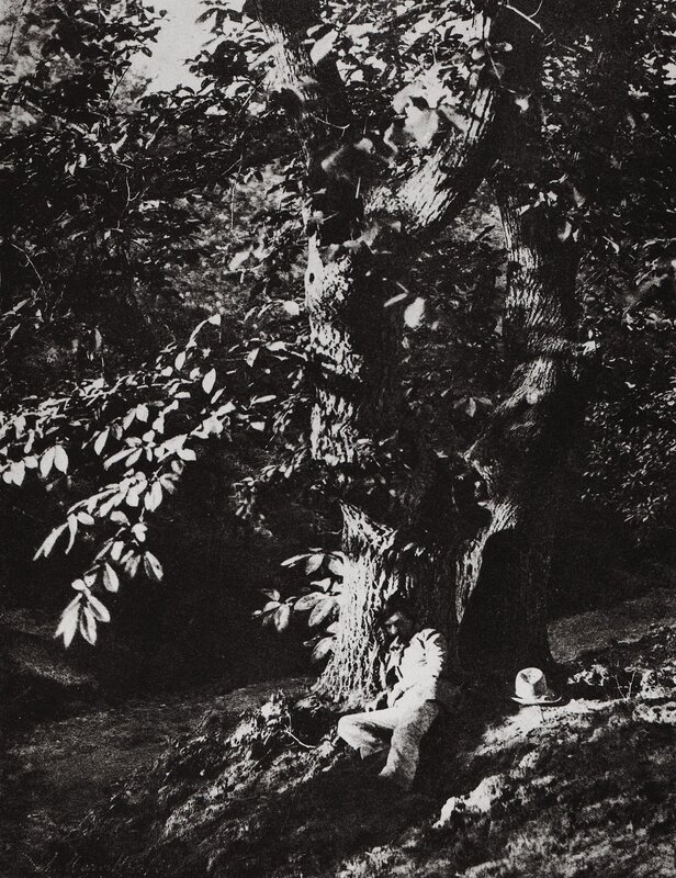 Person resting under a tree