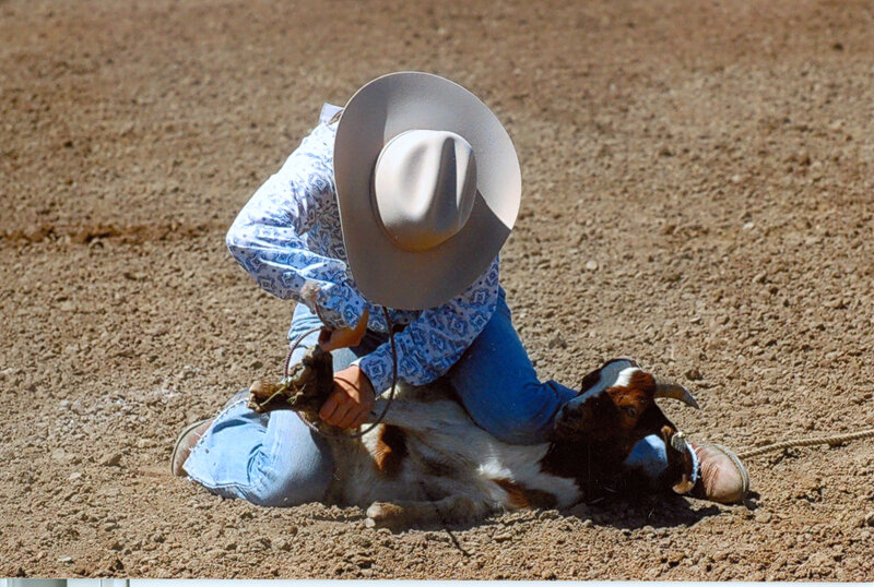 Person Restraining Goat